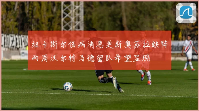 纽卡斯尔伤病消息更新奥苏拉缺阵两周沃尔特马德留队希望显现