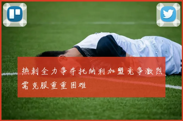 热刺全力争夺托纳利加盟竞争激烈需克服重重困难