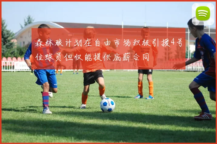 森林狼计划在自由市场积极引援4号位球员但仅能提供底薪合同
