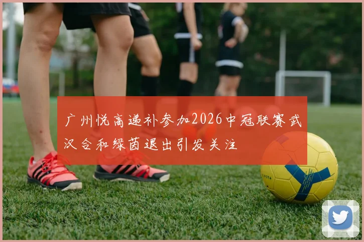 广州悦高递补参加2026中冠联赛武汉合和绿茵退出引发关注