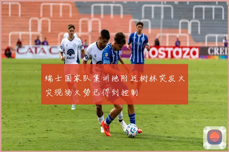 瑞士国家队集训地附近树林突发火灾现场火势已得到控制