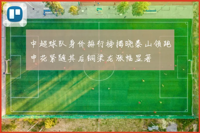 中超球队身价排行榜揭晓泰山领跑申花紧随其后铜梁龙涨幅显著