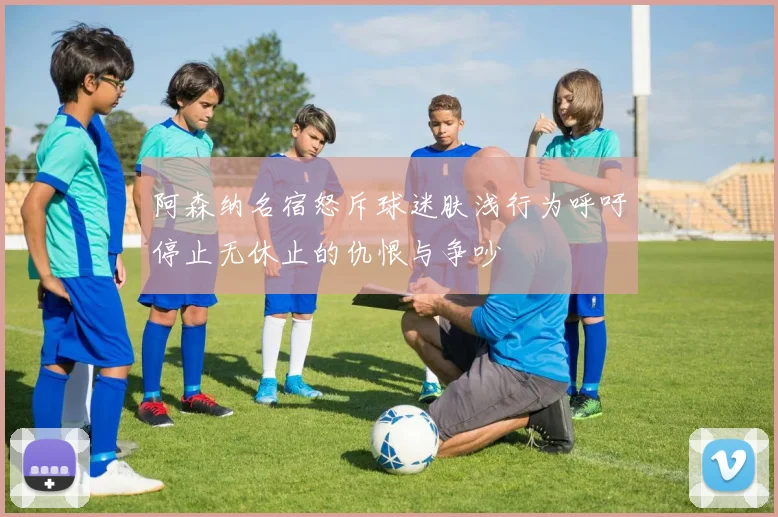 阿森纳名宿怒斥球迷肤浅行为呼吁停止无休止的仇恨与争吵